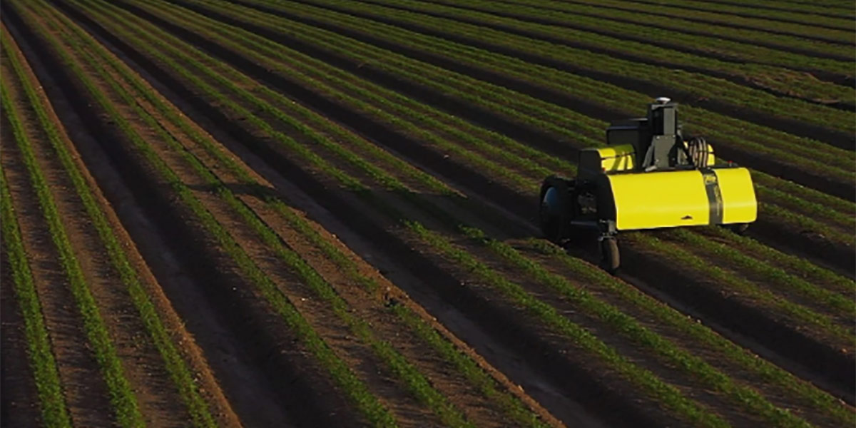 Con Ax-1, l'intelligenza artificiale è al servizio dell'agricoltura